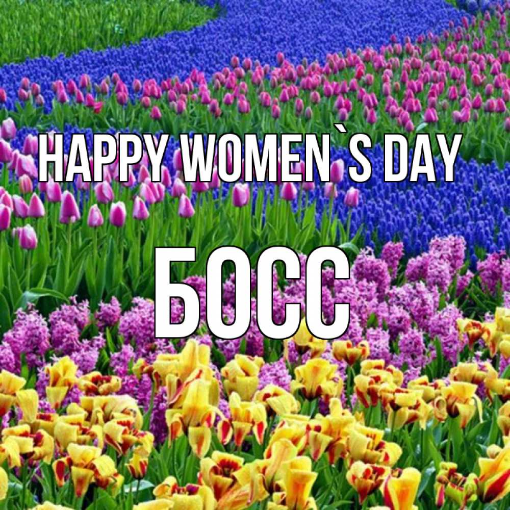 Greetings card с именем, Босс happy women`s day цветы Greetings with text for free download 